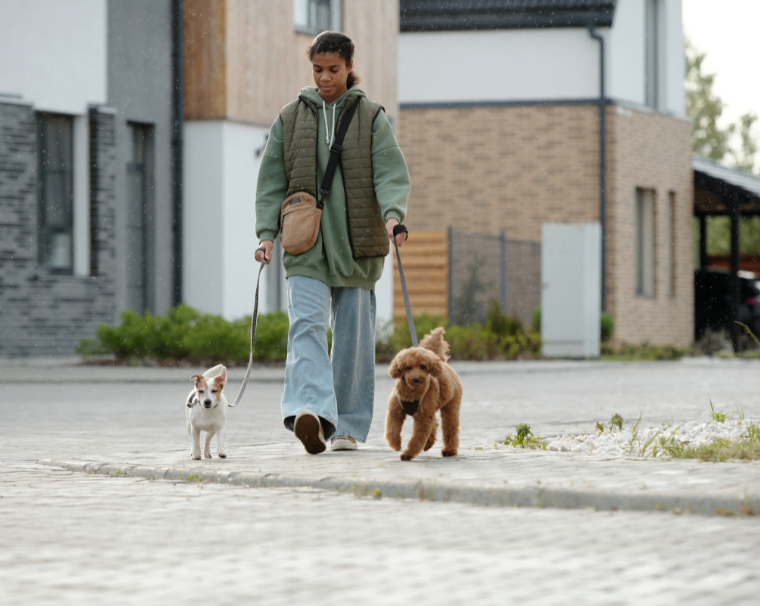 Sitters and Lookerafters